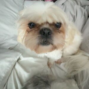 Meet your Posher, Elle